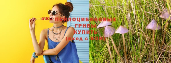 гидропоника Алзамай